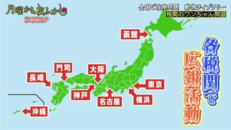 圖片5 圖片5