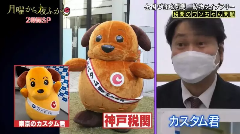 圖片6 圖片6