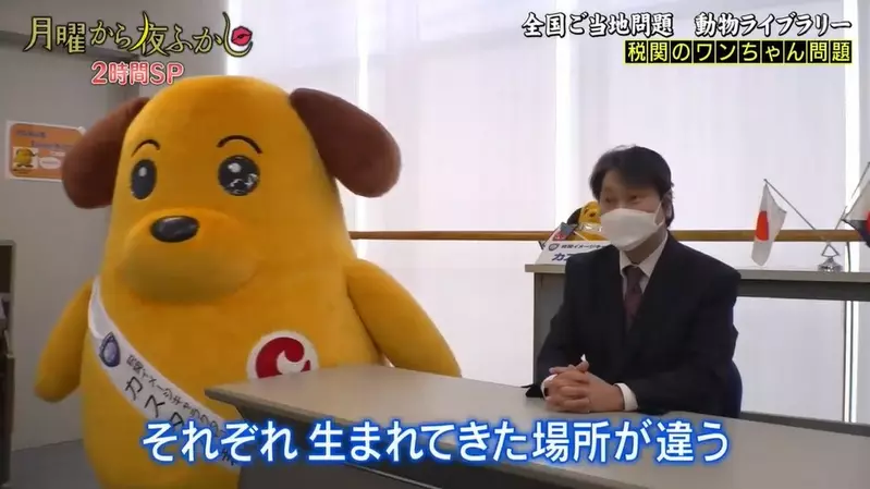 圖片9 圖片9