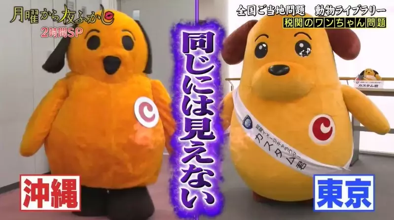 圖片12 圖片12