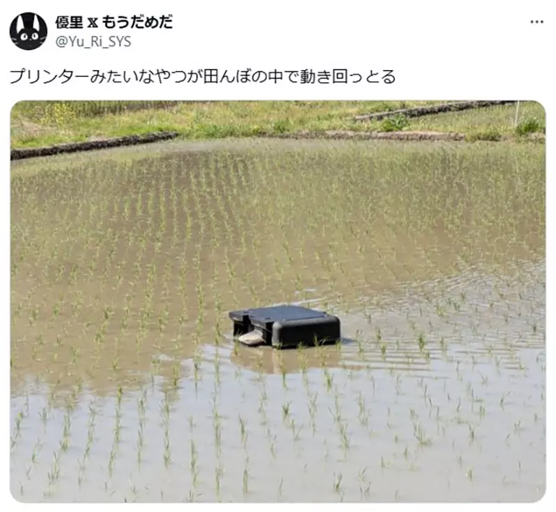 圖片2