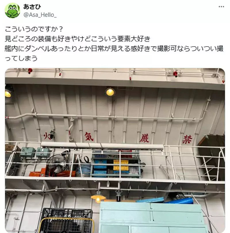 图片6