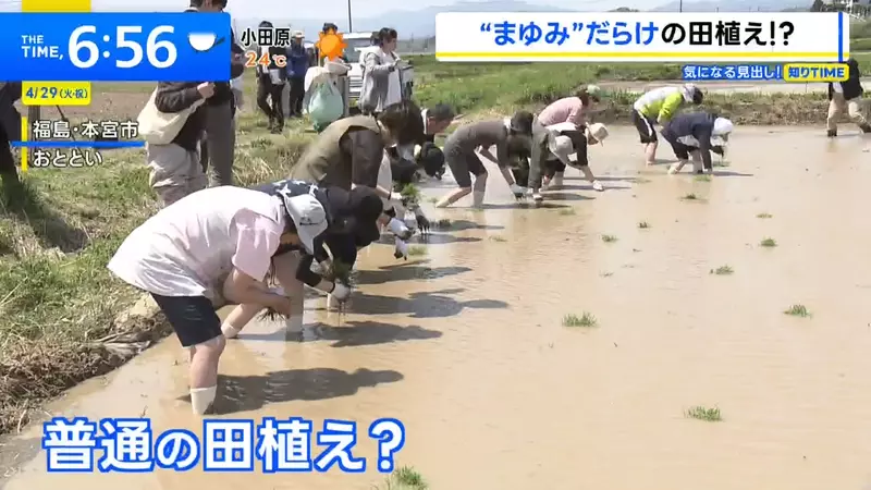 圖片4 圖片4