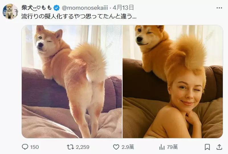 圖片16 圖片16