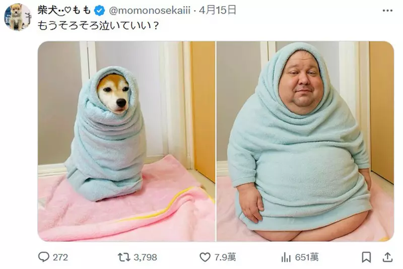 圖片6 圖片6