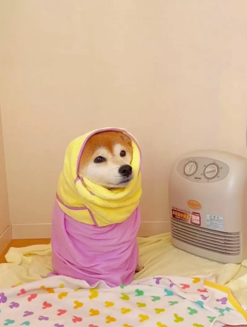 圖片9 圖片9