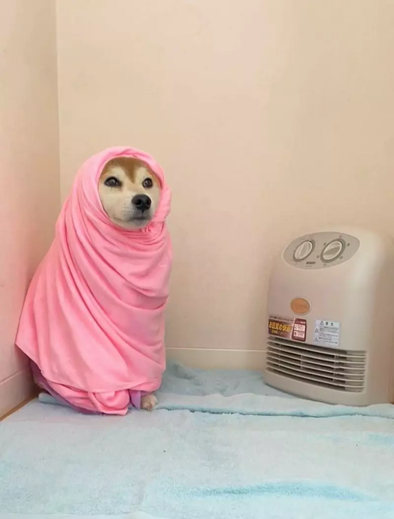 圖片10 圖片10