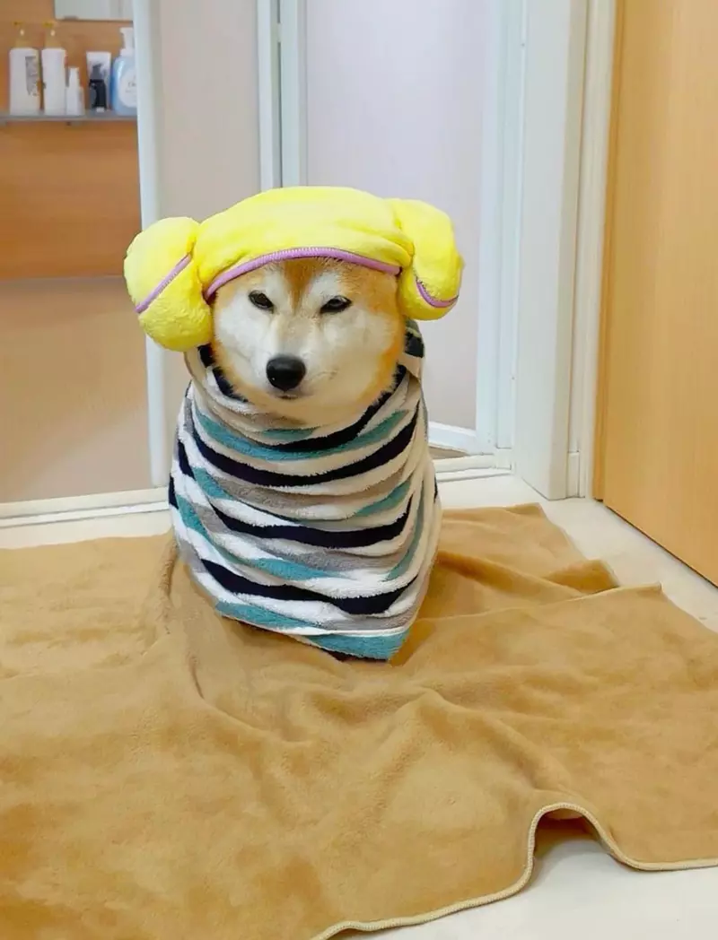 圖片8 圖片8