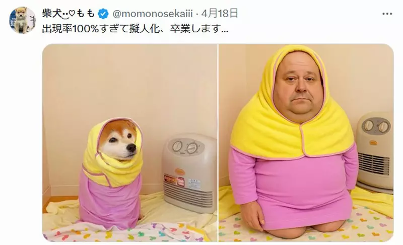 圖片3