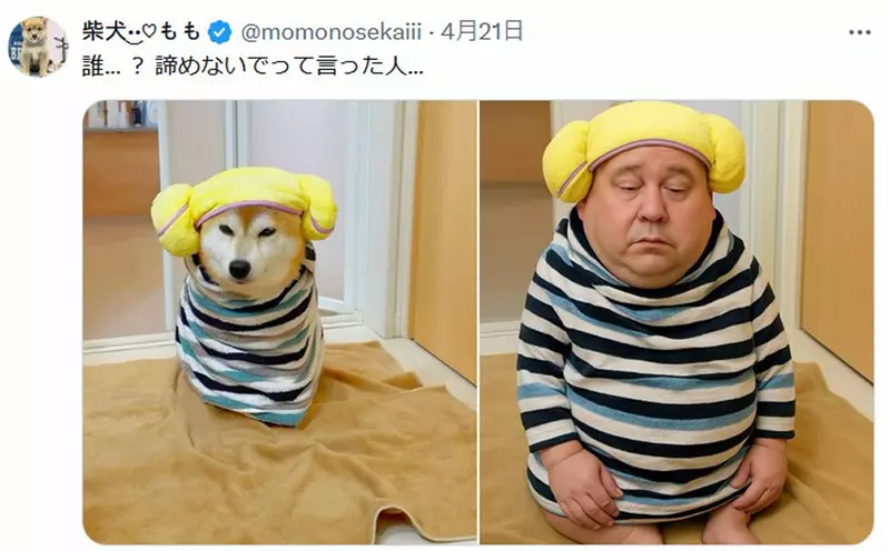 圖片4 圖片4