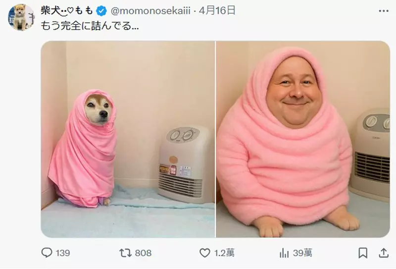 圖片5 圖片5