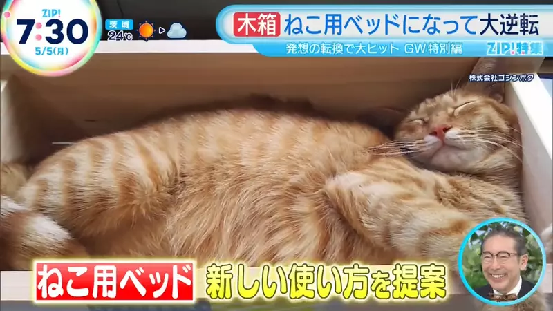 圖片1