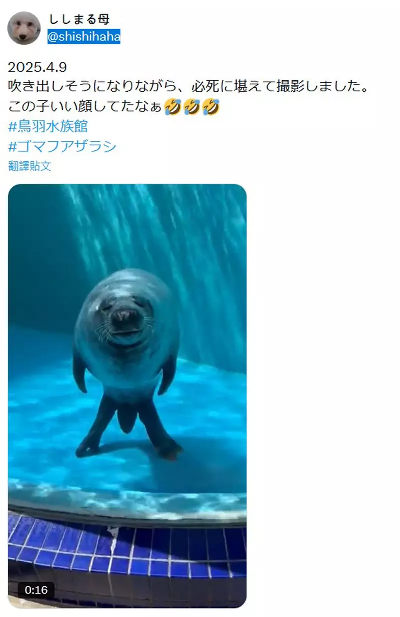 圖片3