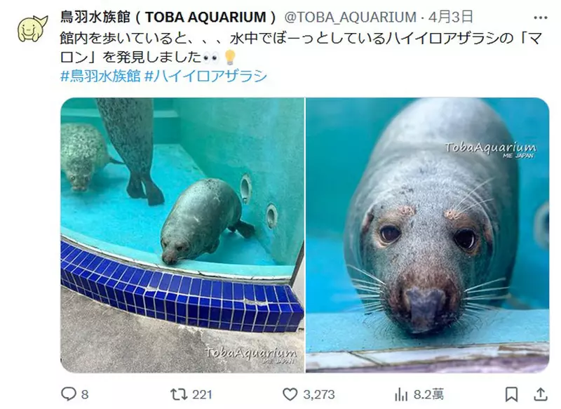 圖片2