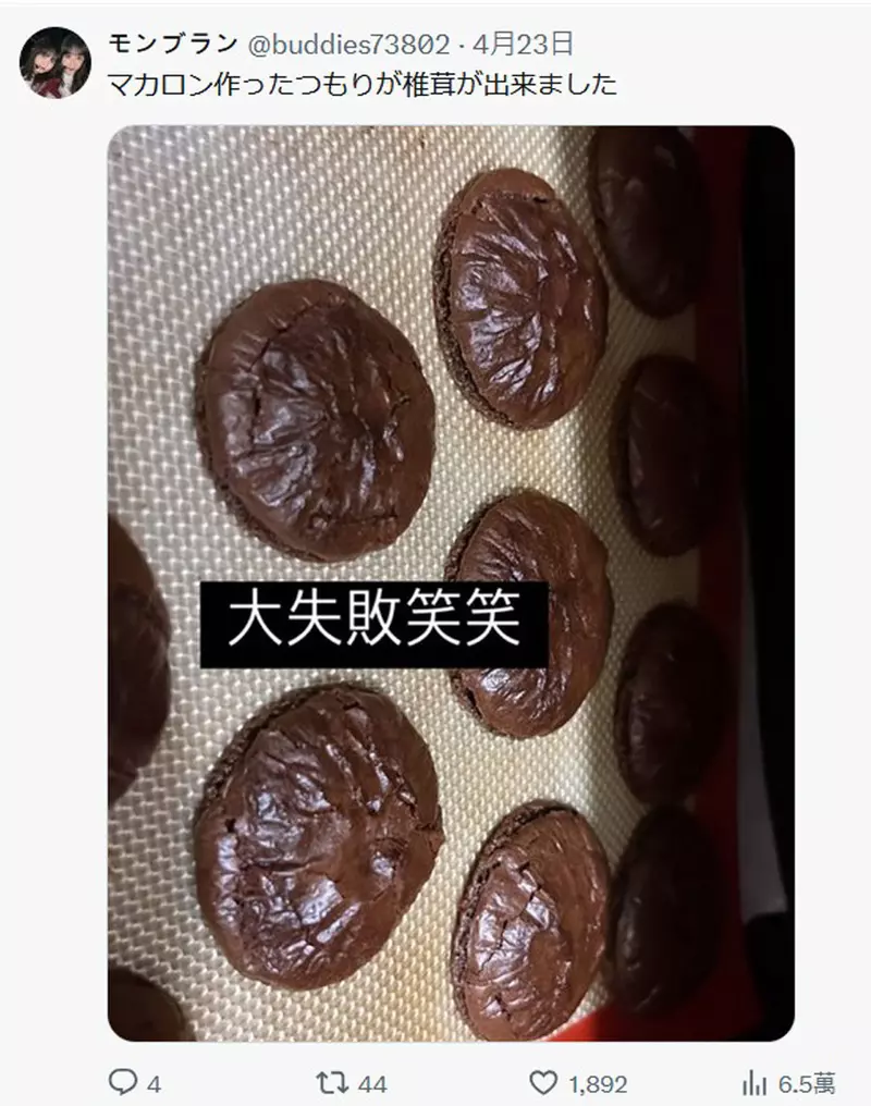 图片13