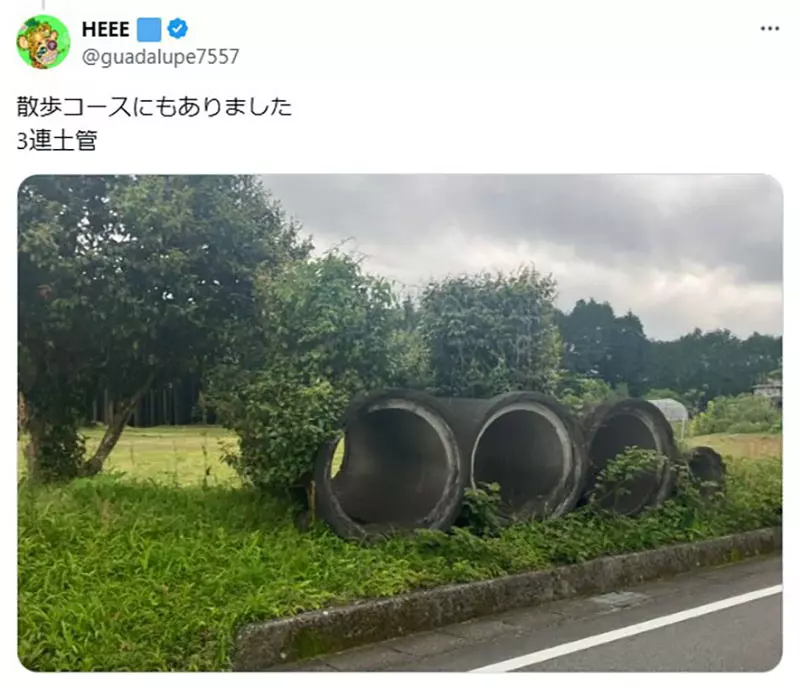圖片11 圖片11