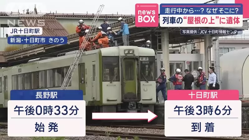 图片9