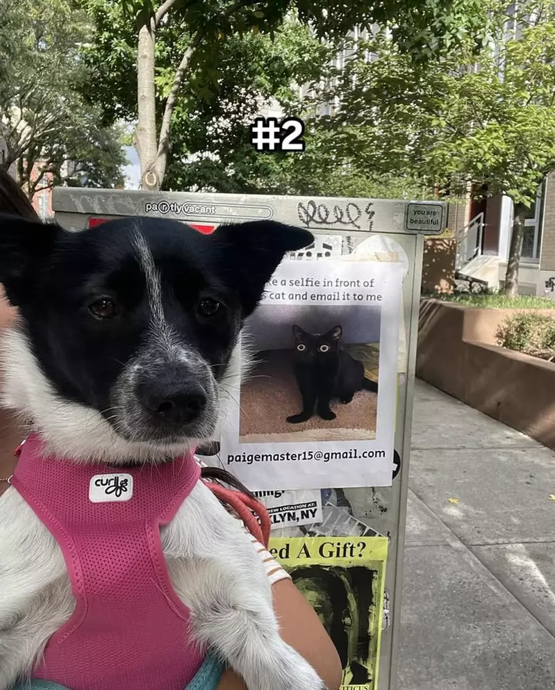 圖片4 圖片4