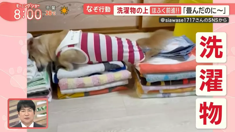 圖片2