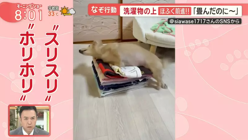 圖片3