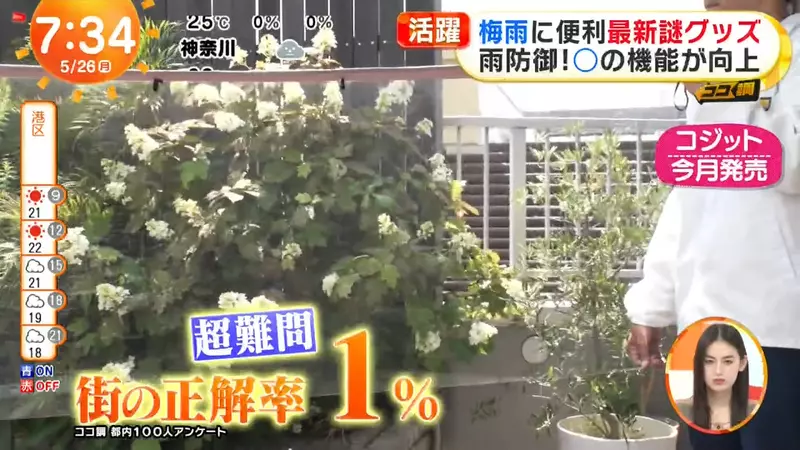 圖片3