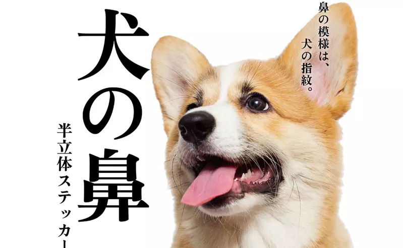 圖片1
