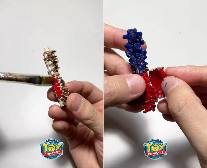 圖片3