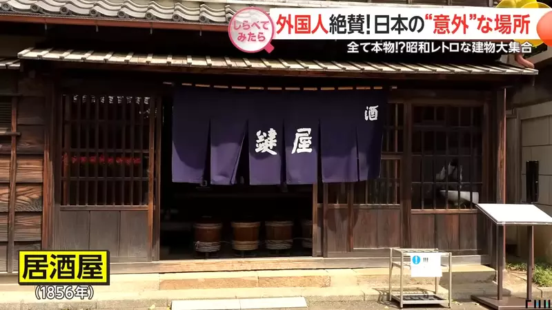 图片8