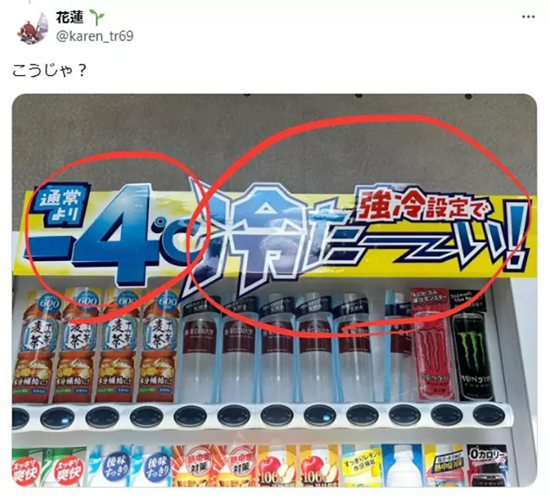 图片10