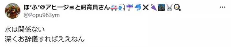 图片13