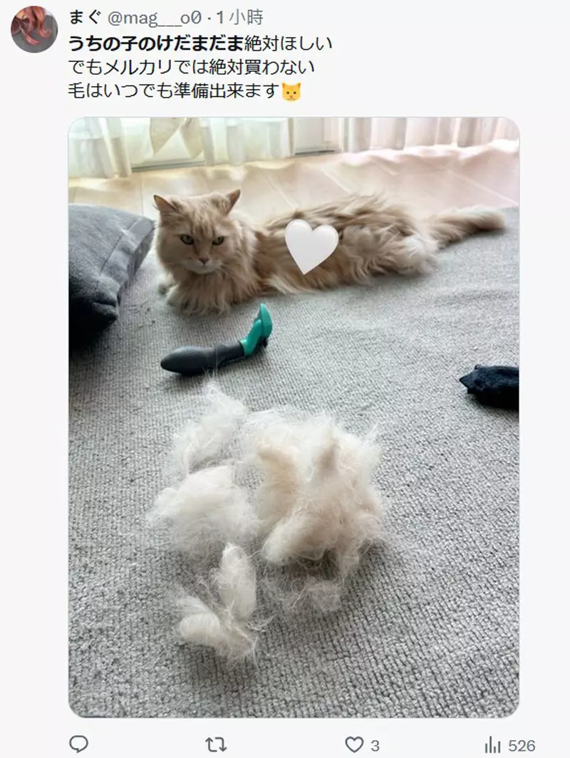 圖片2