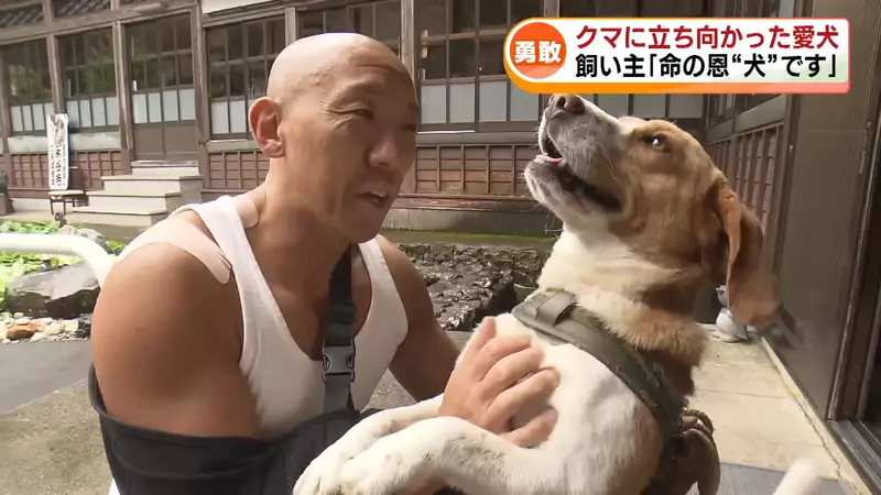 圖片1