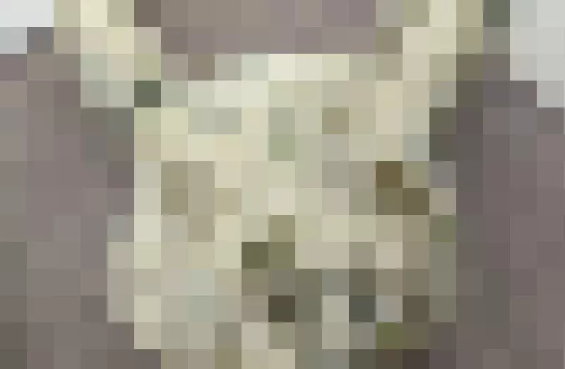 圖片1
