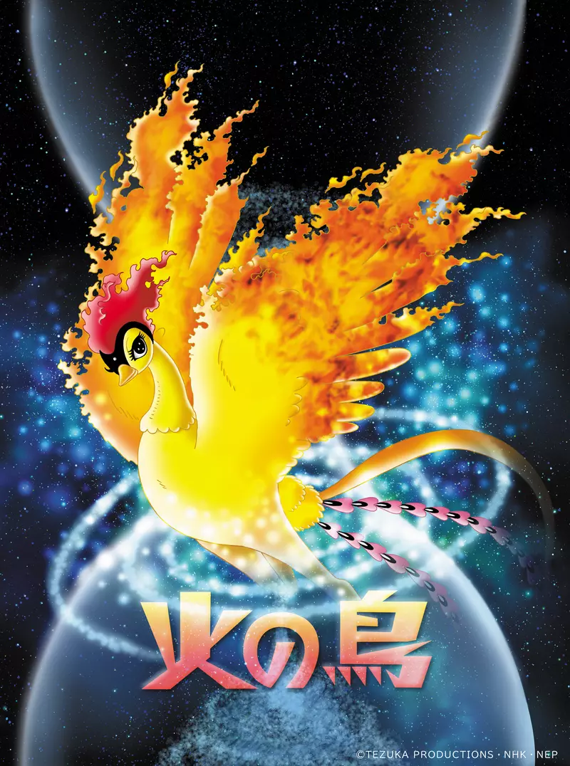 图片7