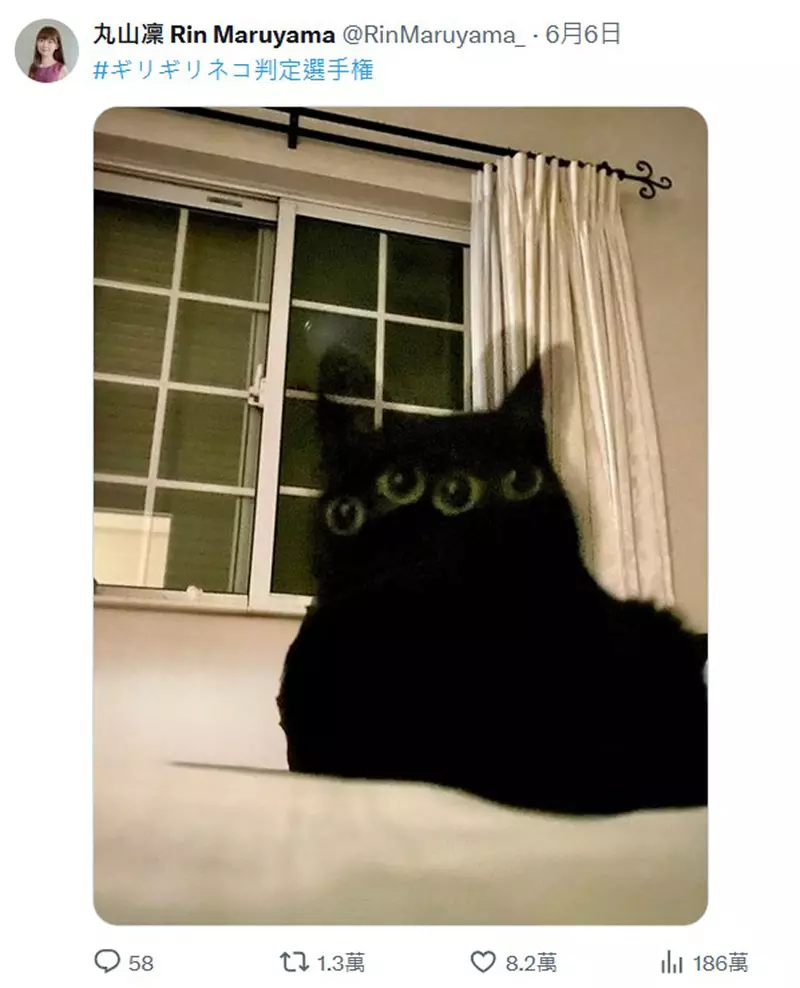 圖片3