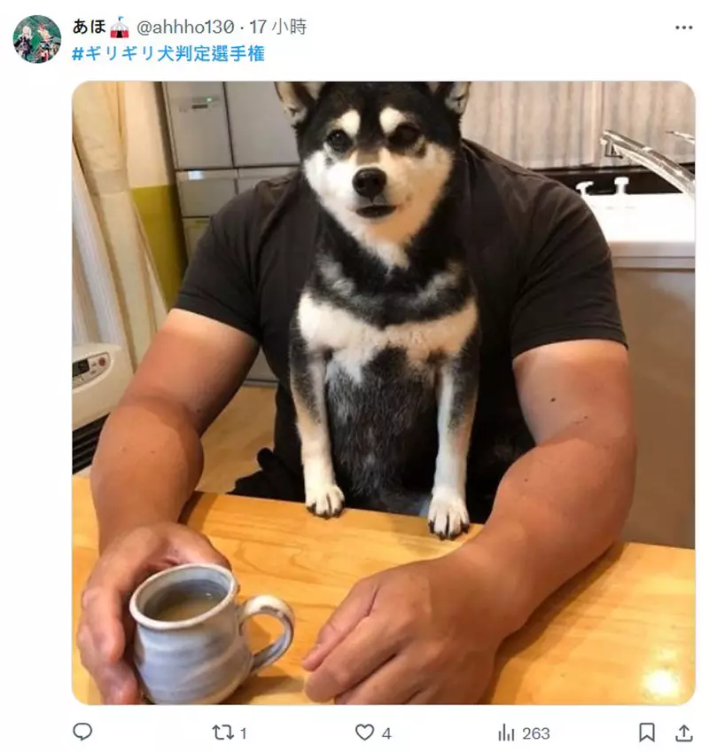 圖片2