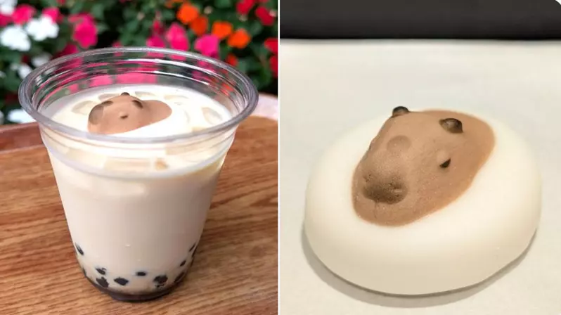 圖片1