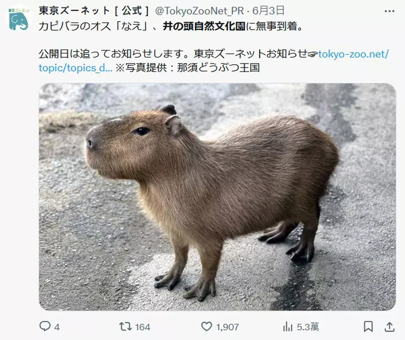 圖片3