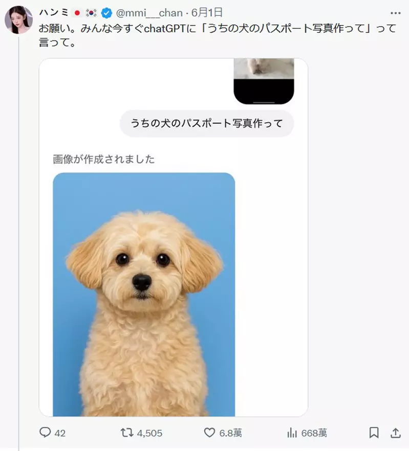 圖片3