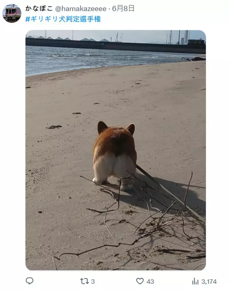 圖片2