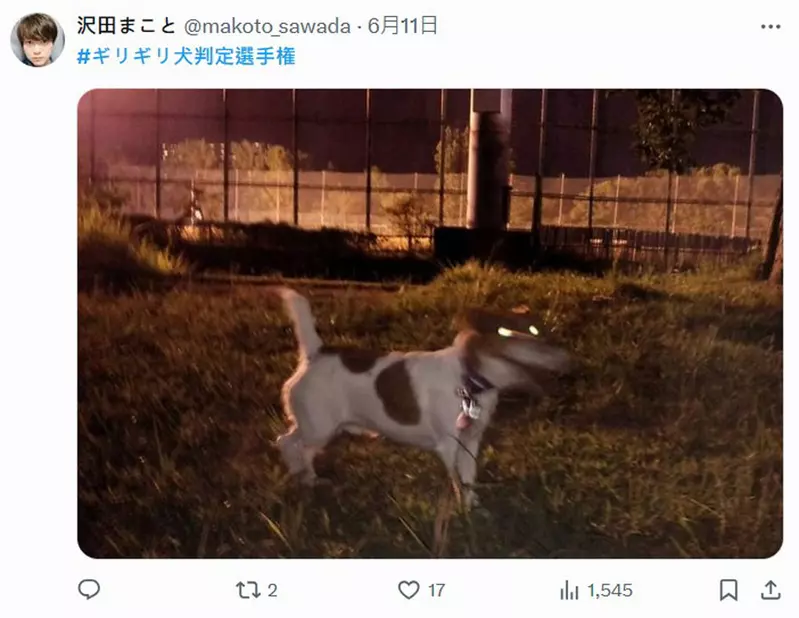 圖片3