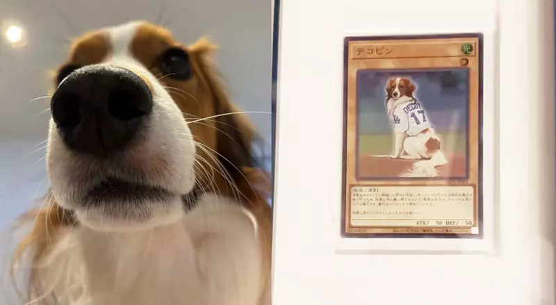 圖片1