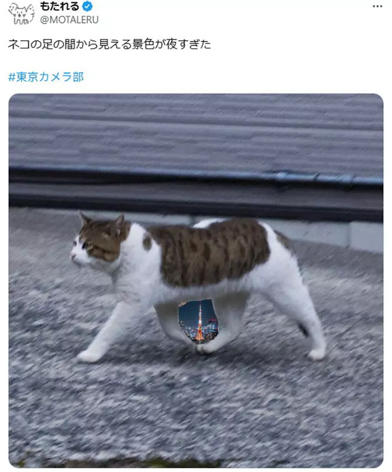 图片11