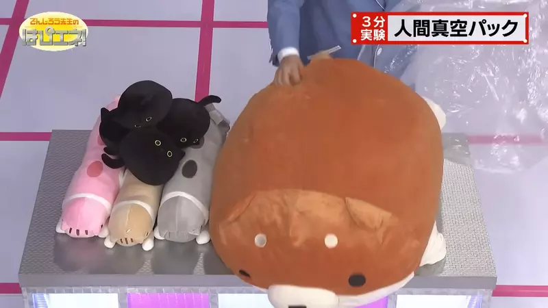 圖片3