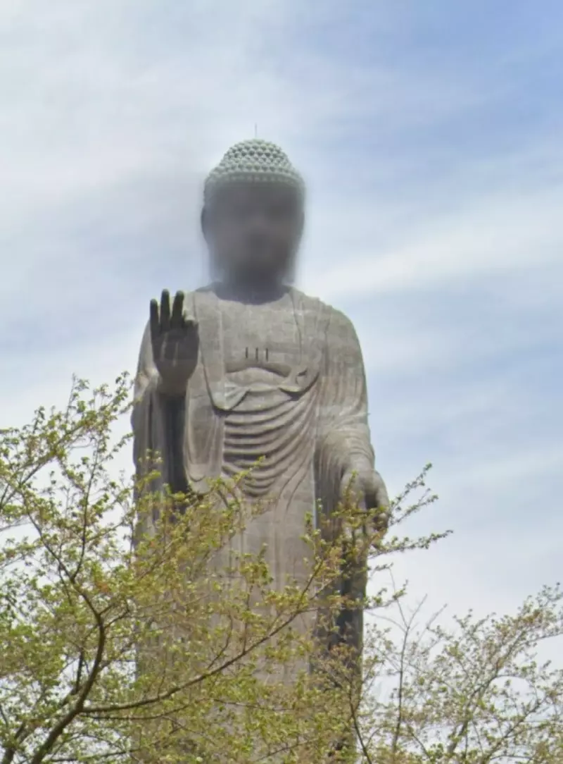 图片6