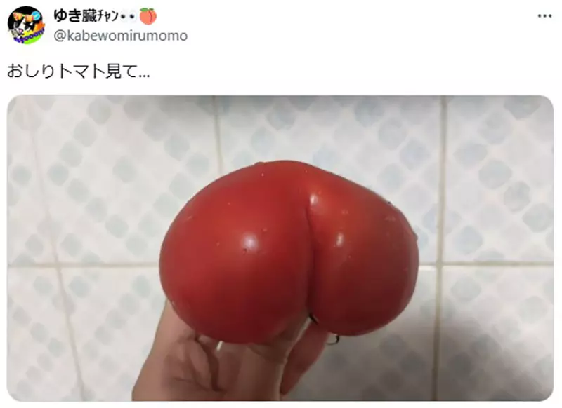 圖片2