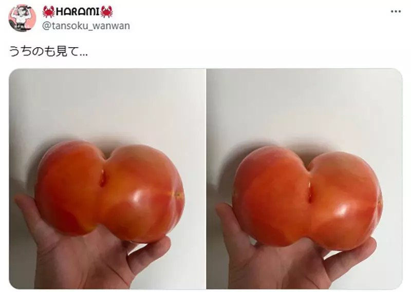 圖片3