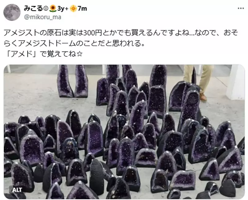 图片14