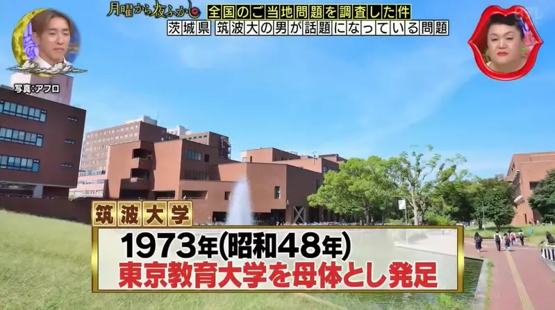 图片9