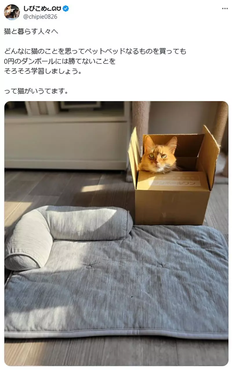 圖片2